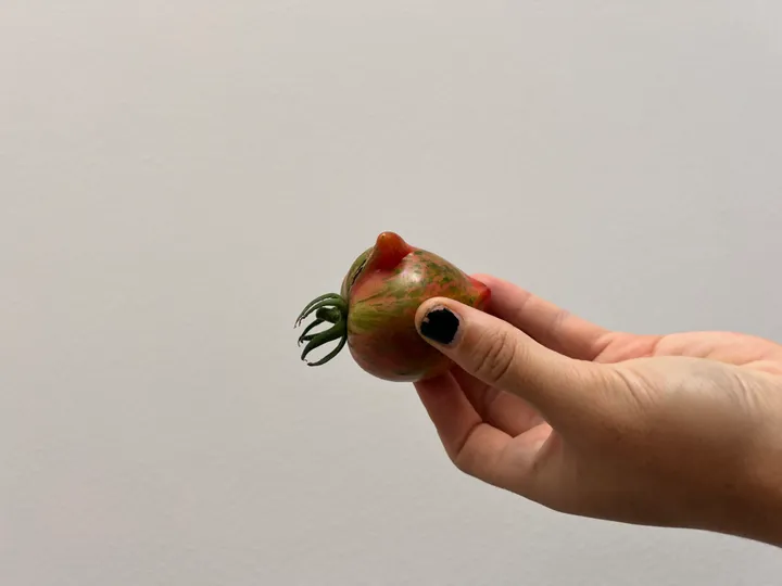 3D tomato face